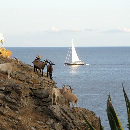 Isola D'Elba Come In Barca, A Un Tuffo Dal Mare 卡波利韦里 外观 照片