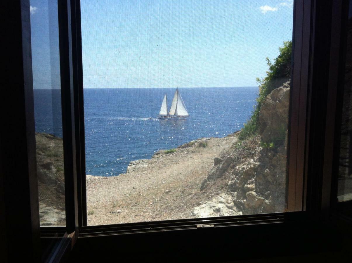 Isola D'Elba Come In Barca, A Un Tuffo Dal Mare 卡波利韦里 外观 照片
